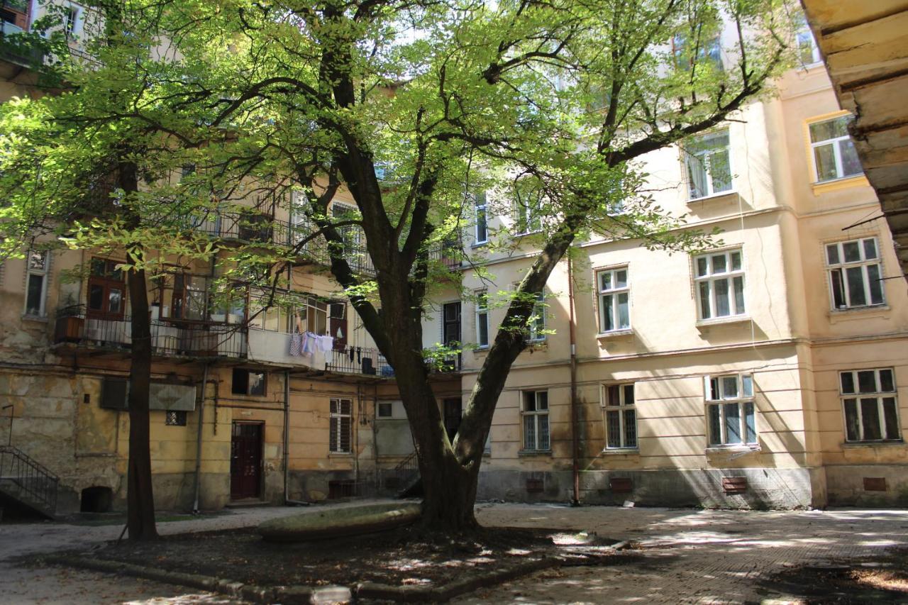 в центрі львова
